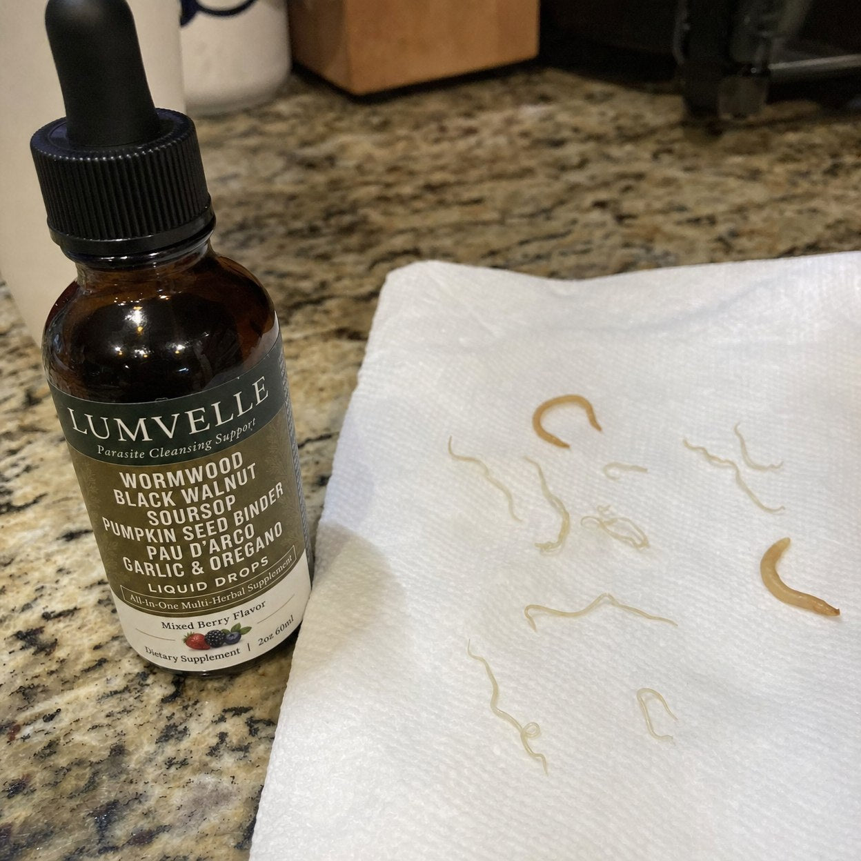 LUMVELLE Wild-Harvested Wormwood Herbal Drops